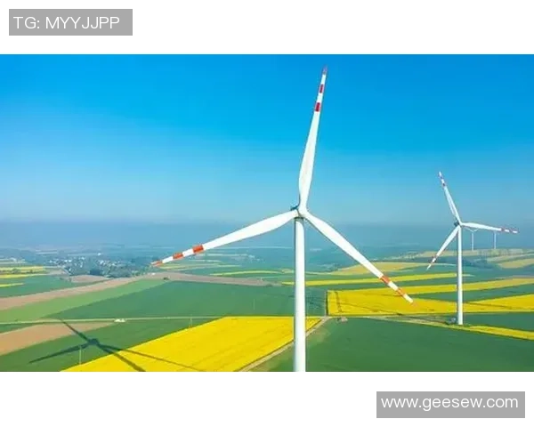 湾区争雄够山东之关键词:支撑、传承、应战